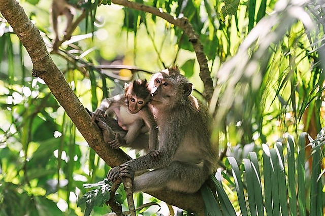 pexels-mikhail-nilov-7709900